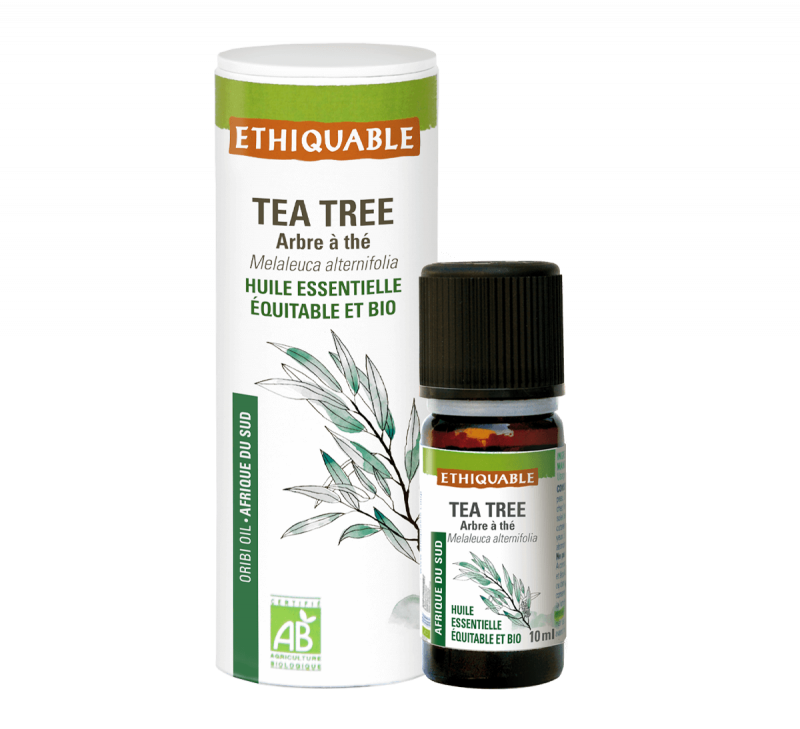 Huile Essentielle de Tea Tree ou arbre à thé