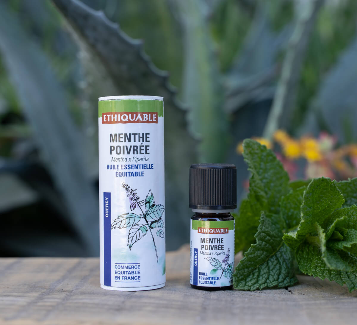 Ethiquable- Huile essentielle de menthe poivrée française issue du commerce équitable Ethiquable- Huile essentielle de menthe poivrée française issue du commerce équitable