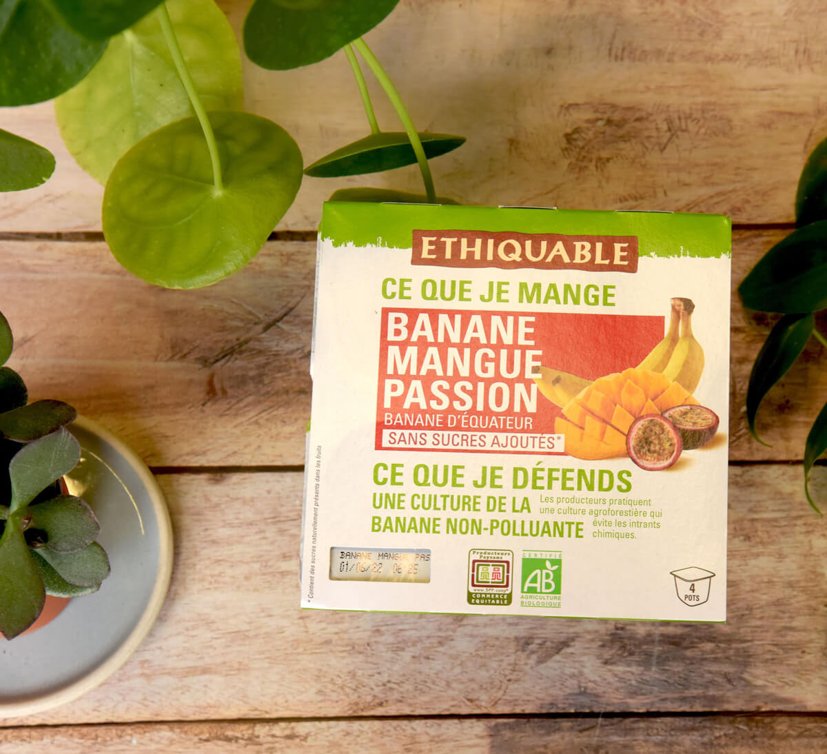 Bananes moelleuses de Cerecita bio équitable 250g - Nutri Naturel