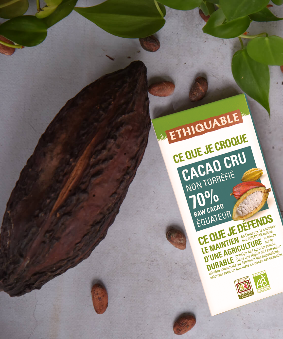 Ethiquable - Cacao cru bio non torréfié 70% de cacao d'Equateur issu du Commerce équitable