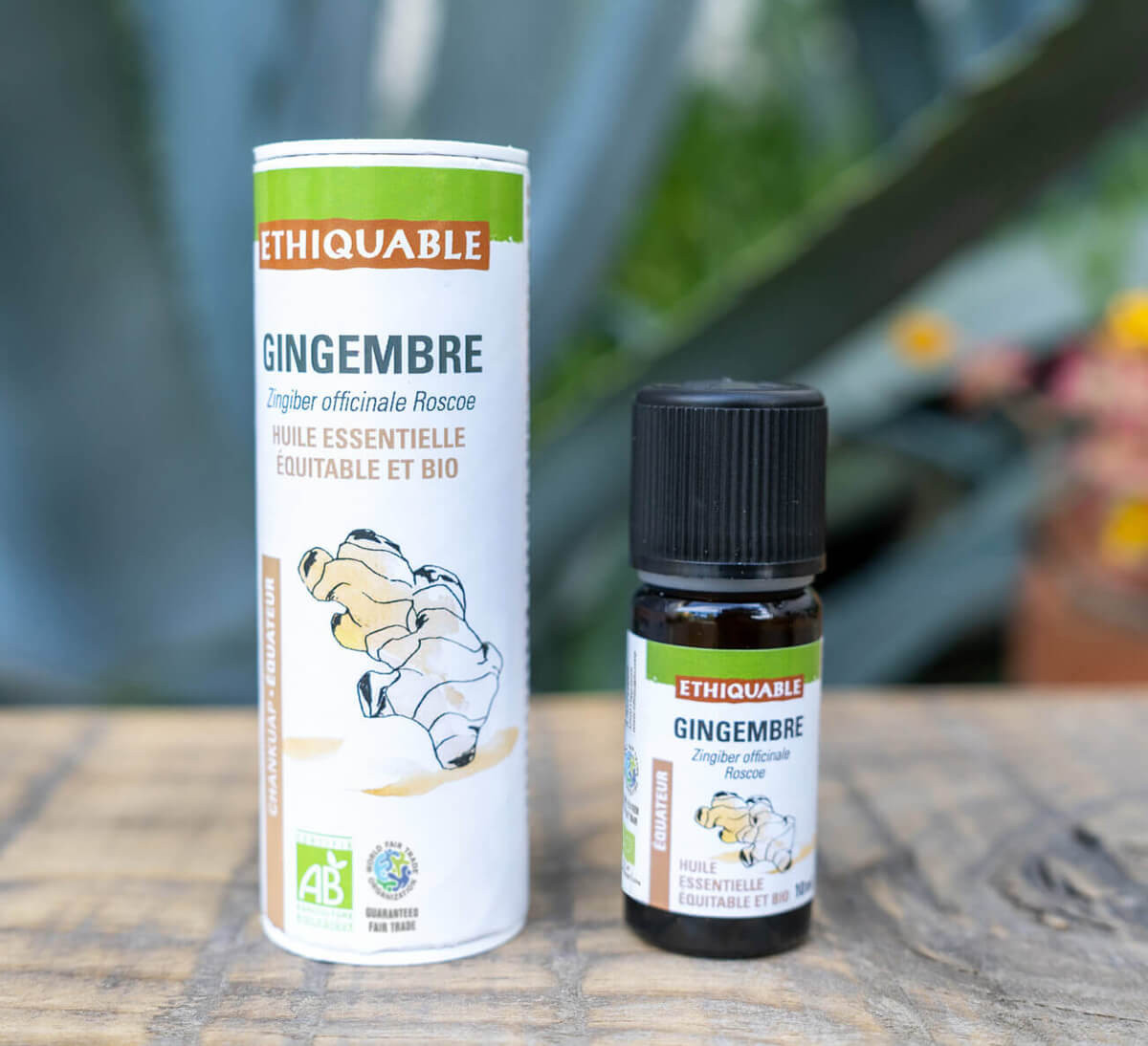 Ethiquable - Pure huile essentielle de gingembre d'Equateur équitable et bio Ethiquable - Pure huile essentielle de gingembre d'Equateur équitable et bio