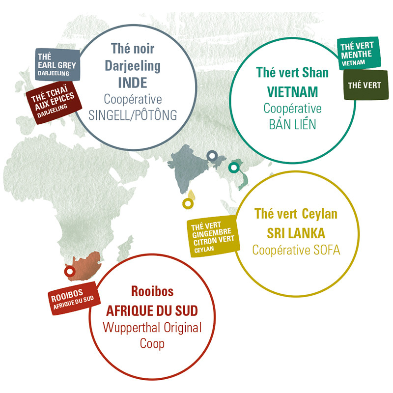 Coffret vrac thé vert et thé Darjeeling biologiques et équitables I Terra  Etica