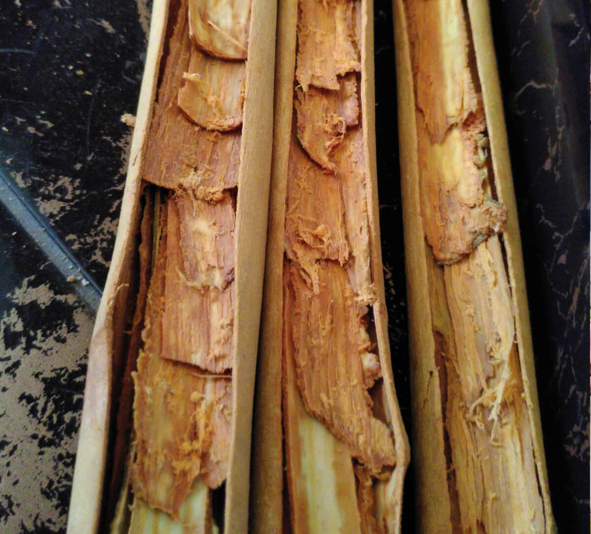 Bois de cannelle pour épice bio et équitable