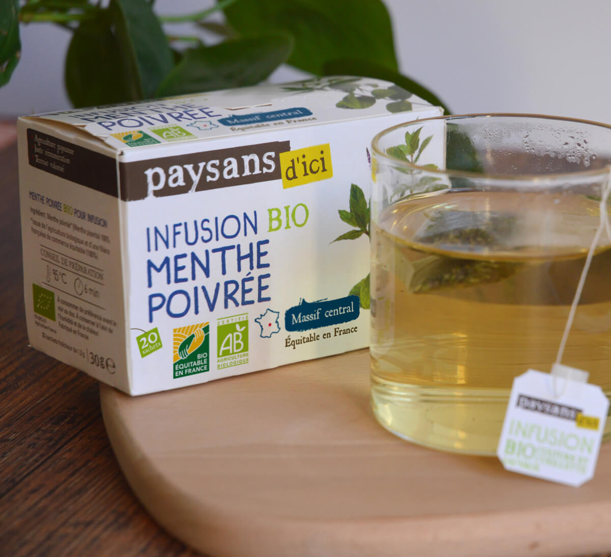 Tisane bio de plante - menthe poivrée