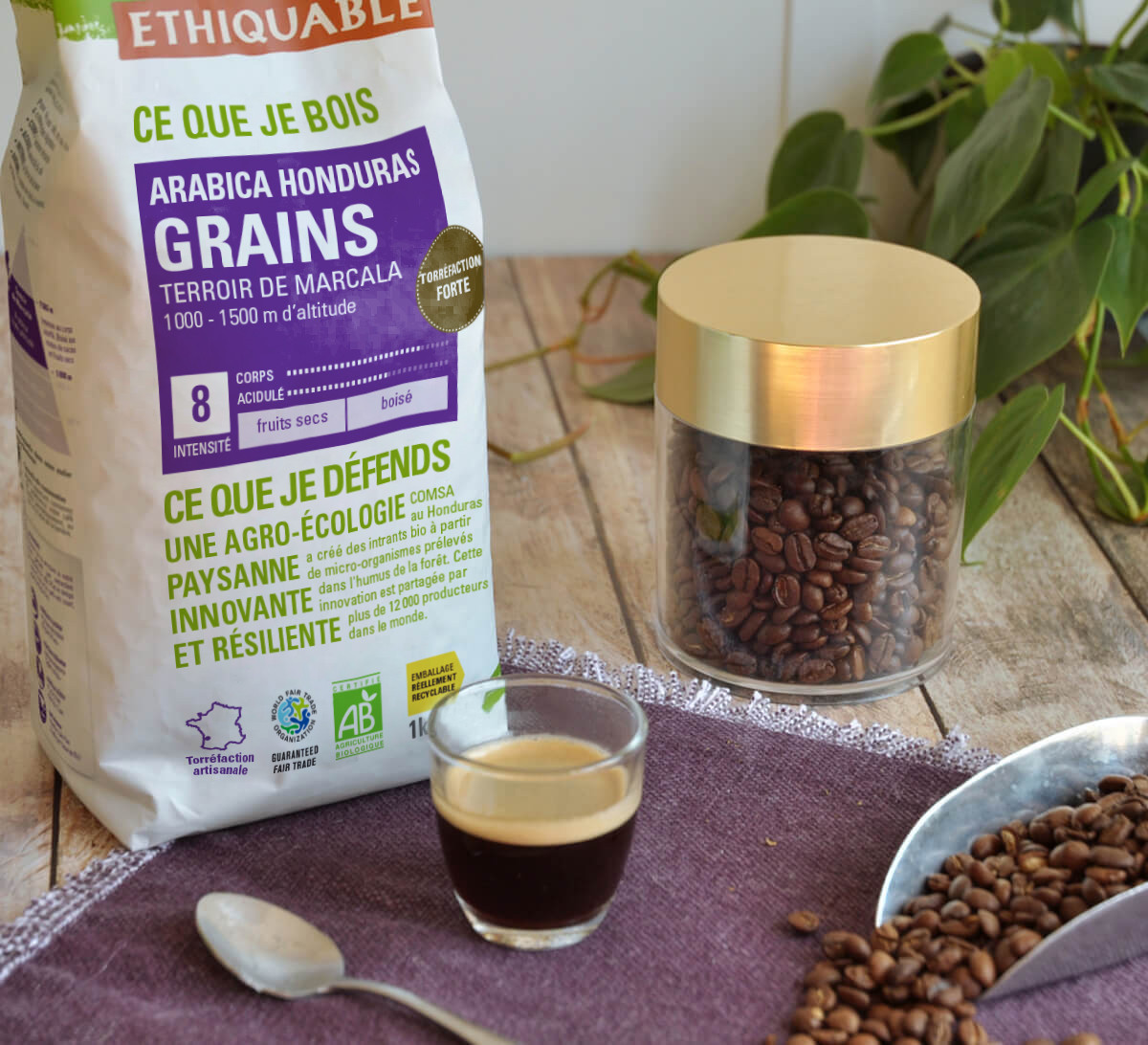 Paquet de café arabica en grains bio et équitable du Honduras en format 1kg