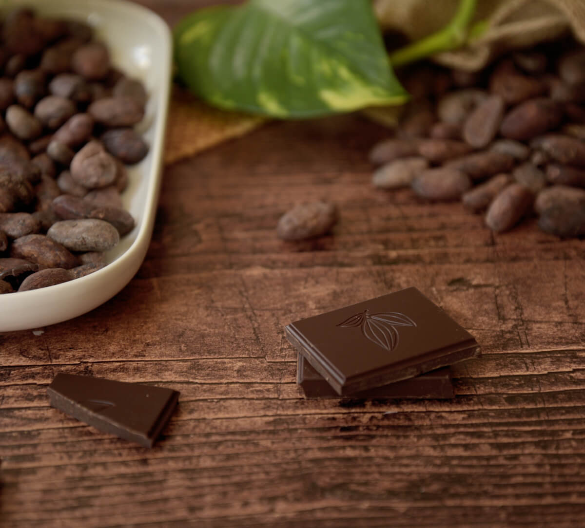 Carrés de chocolat noir 88% de Bolivie bio et équitable Carrés de chocolat noir 88% de Bolivie bio et équitable