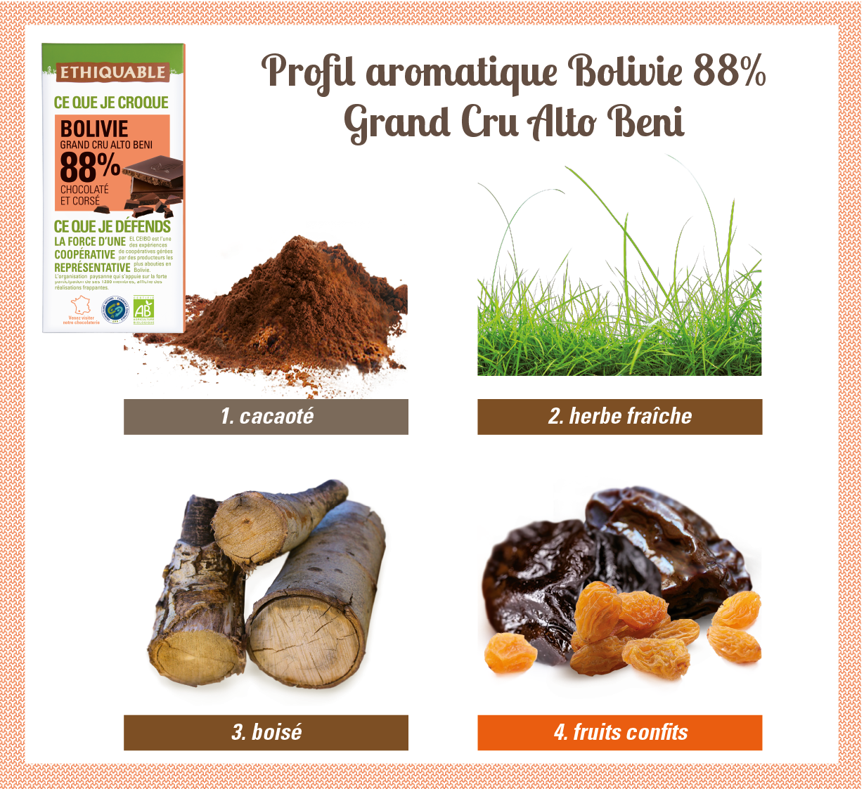 Profil aromatique chocolat noir 88% de Bolivie Grand cru Alto Beni bio et équitable Profil aromatique chocolat noir 88% de Bolivie Grand cru Alto Beni bio et équitable