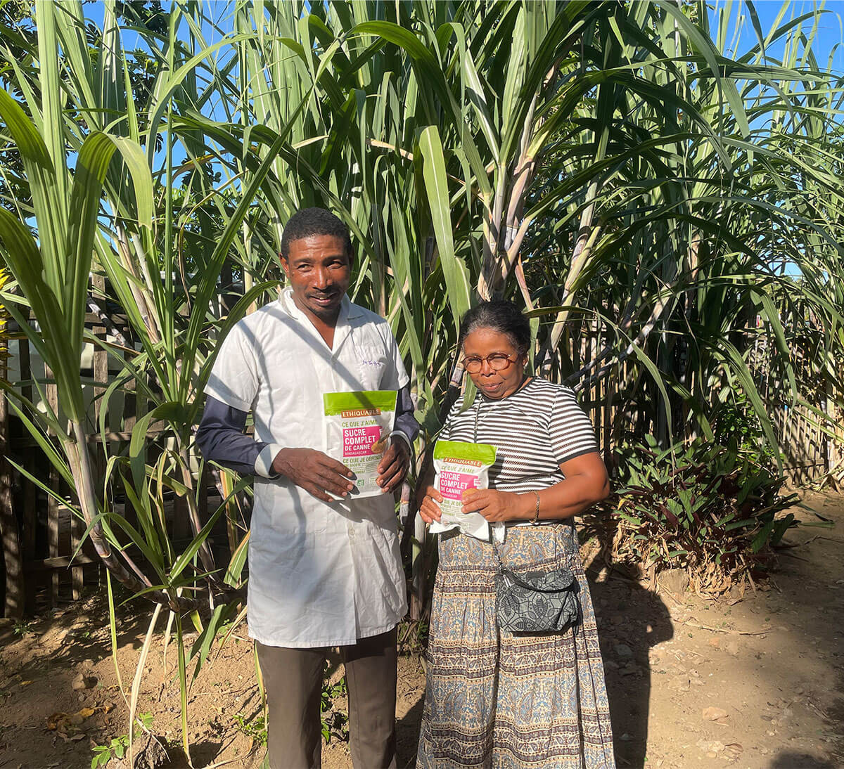 producteurs dans une parcelle coopérative PAACO avec sucre complet de canne bio et équitable de Madagascar producteurs dans une parcelle coopérative PAACO avec sucre complet de canne bio et équitable de Madagascar