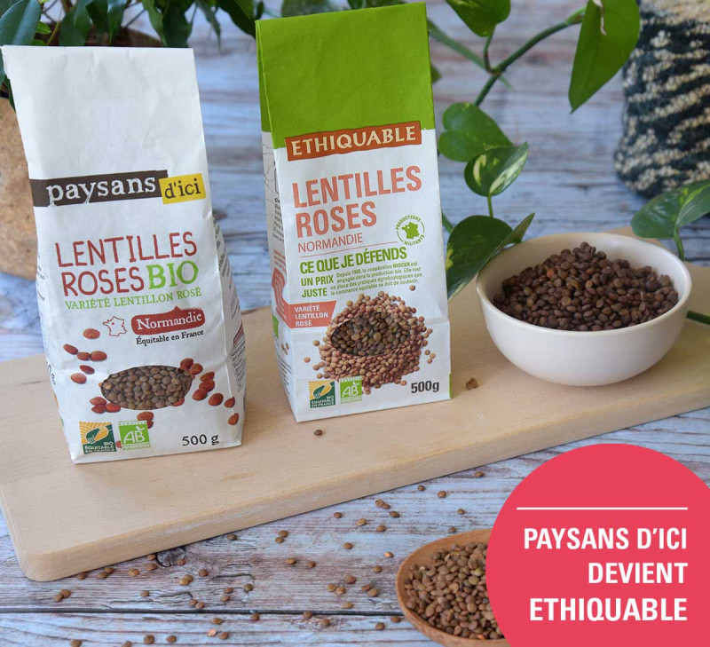 Lentilles roses Lentillon rosé de Normandie - bio et équitable