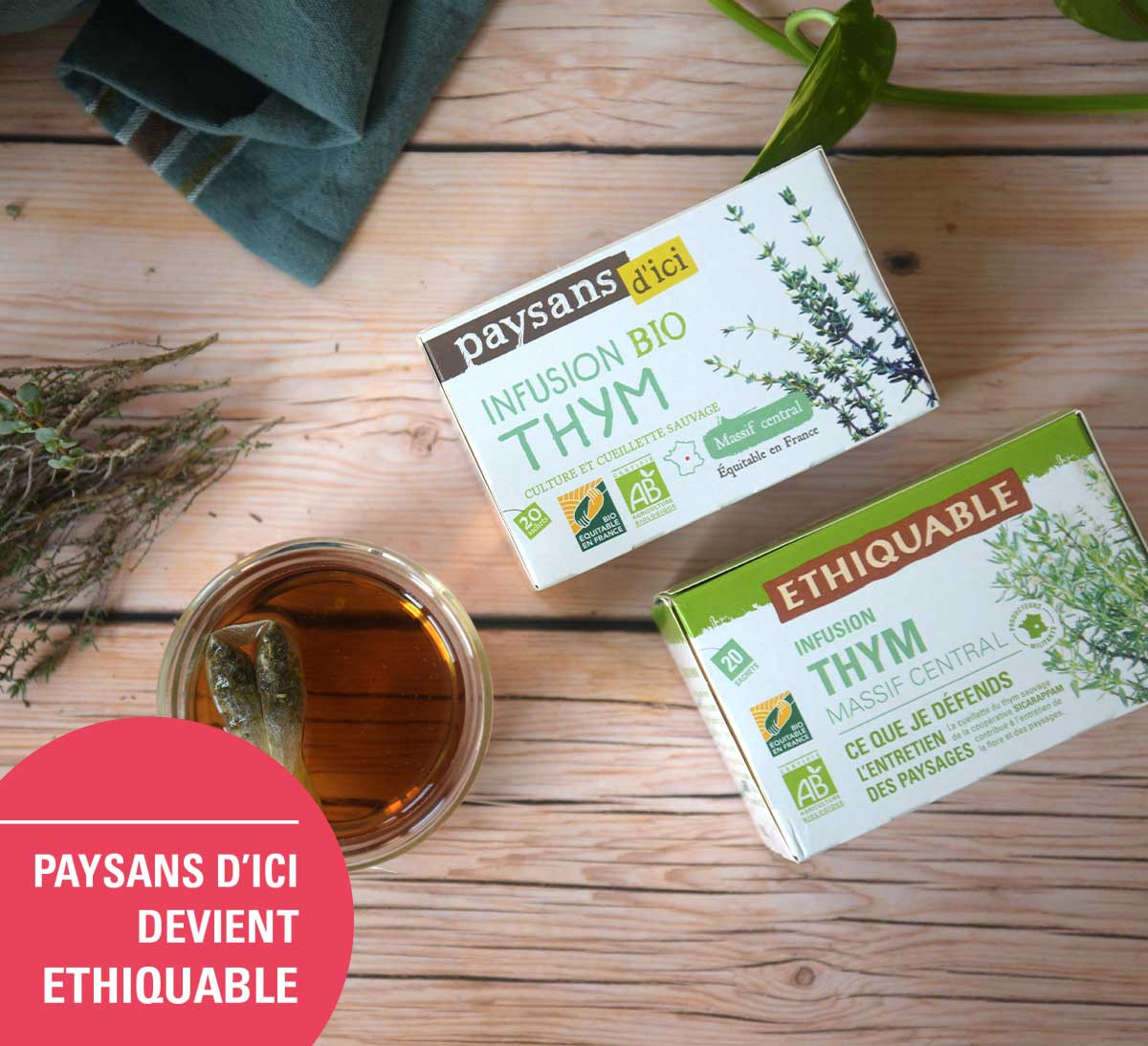 infusion thym bio équitable paysans dici devient ethiquable infusion thym bio équitable paysans dici devient ethiquable