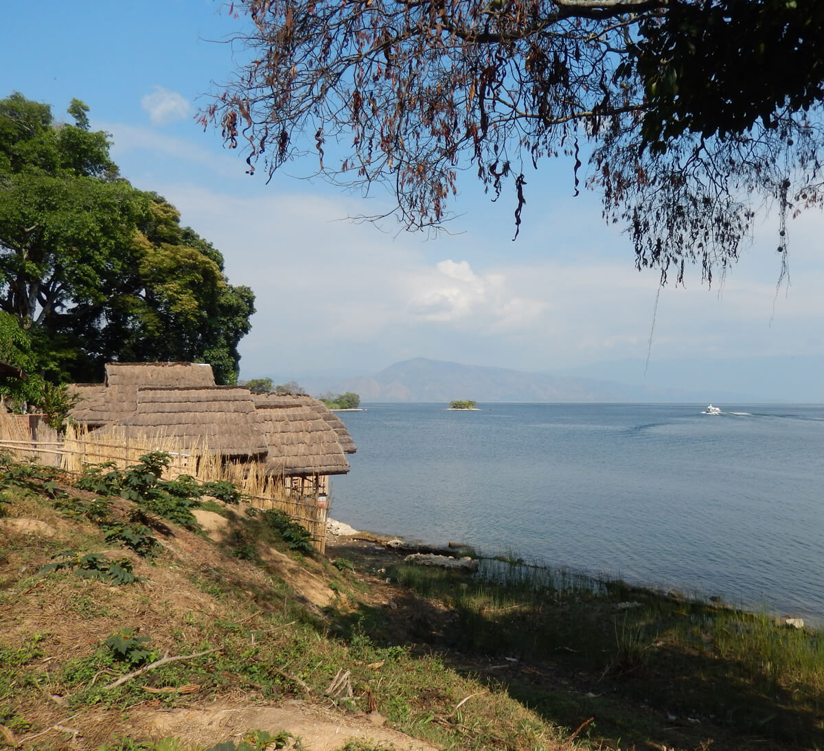 lac kivu terroir de café