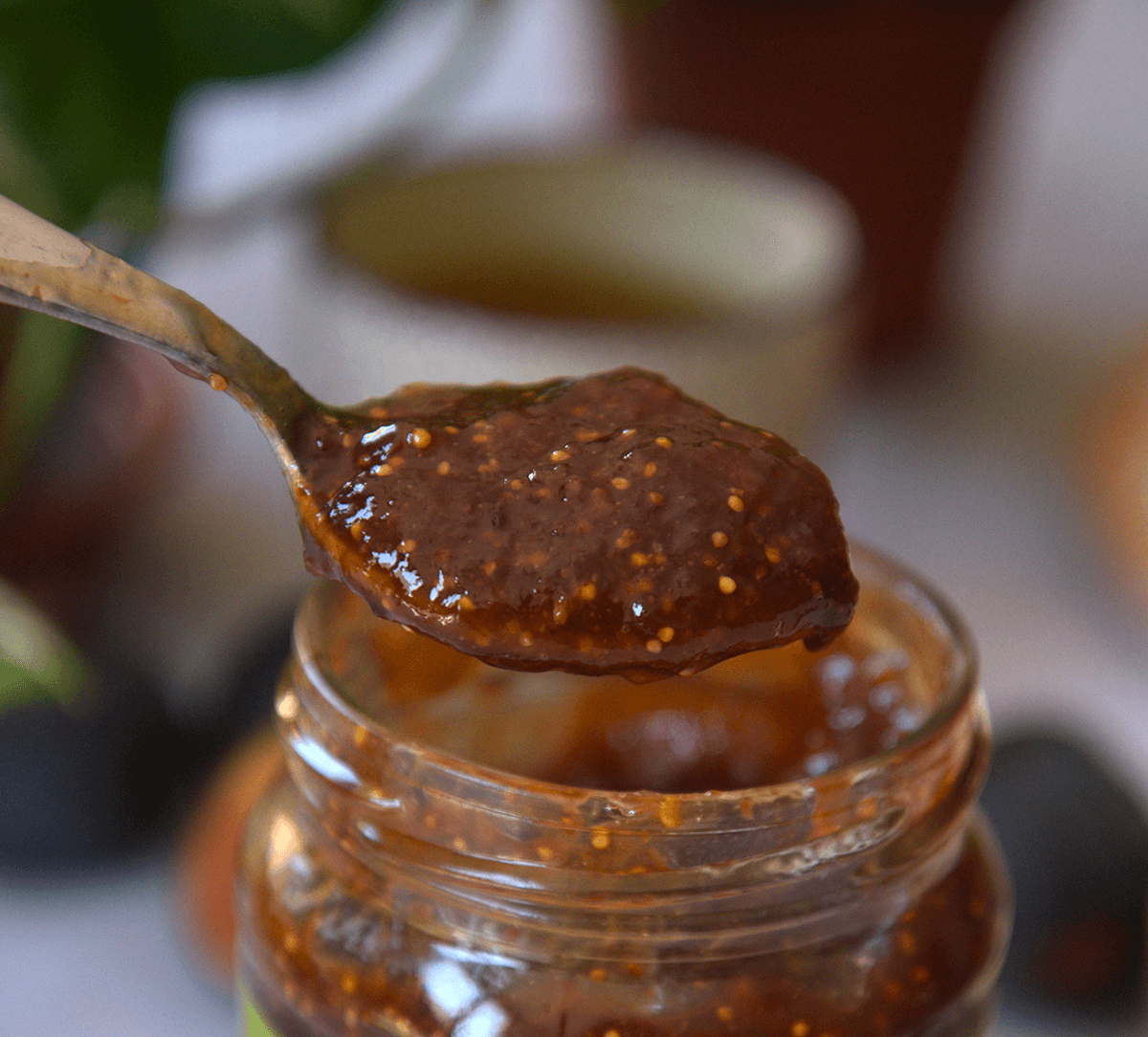 Texture de la confiture extra de figue des Pyrénées-Orientales bio et équitable Texture de la confiture extra de figue des Pyrénées-Orientales bio et équitable
