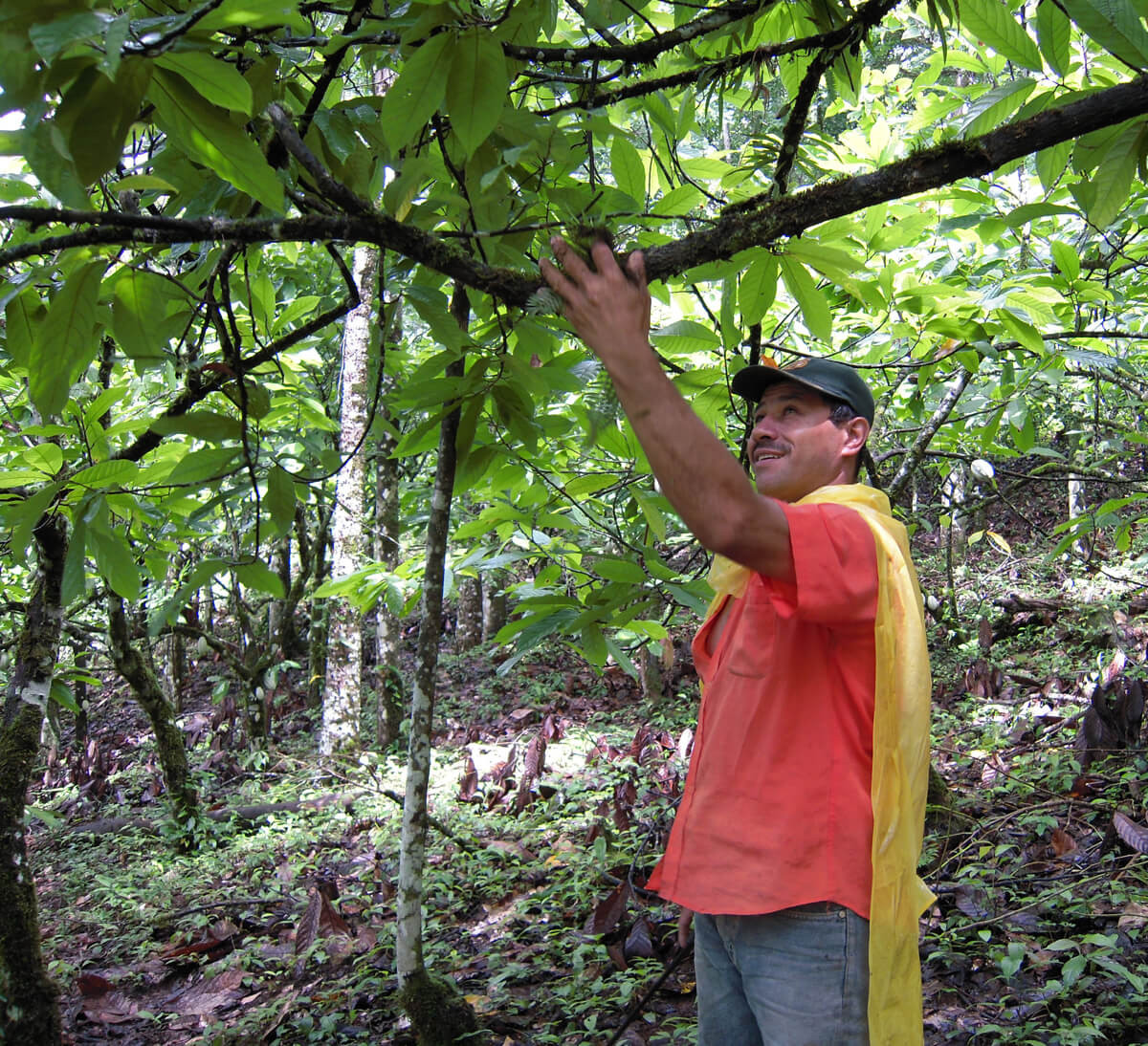 Producteur de la coopérative CACAO NICA au Nicaragua - Ethiquable