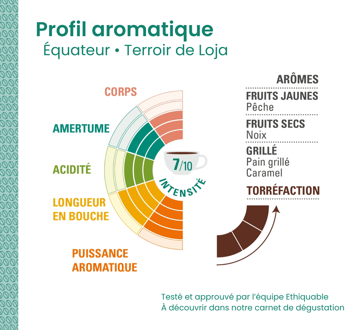 Profil aromatique du café pur arabica Ethiquable bio en grains d'Équateur, format 1kg, issu du Commerce Equitable Profil aromatique du café pur arabica Ethiquable bio en grains d'Équateur, format 1kg, issu du Commerce Equitable