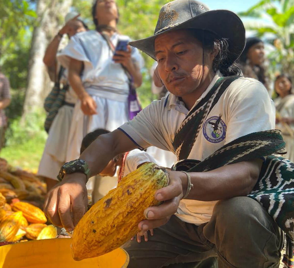 Producteur de cacao bio et équitable de la coopérative ANEI en Colombie - Ethiquable