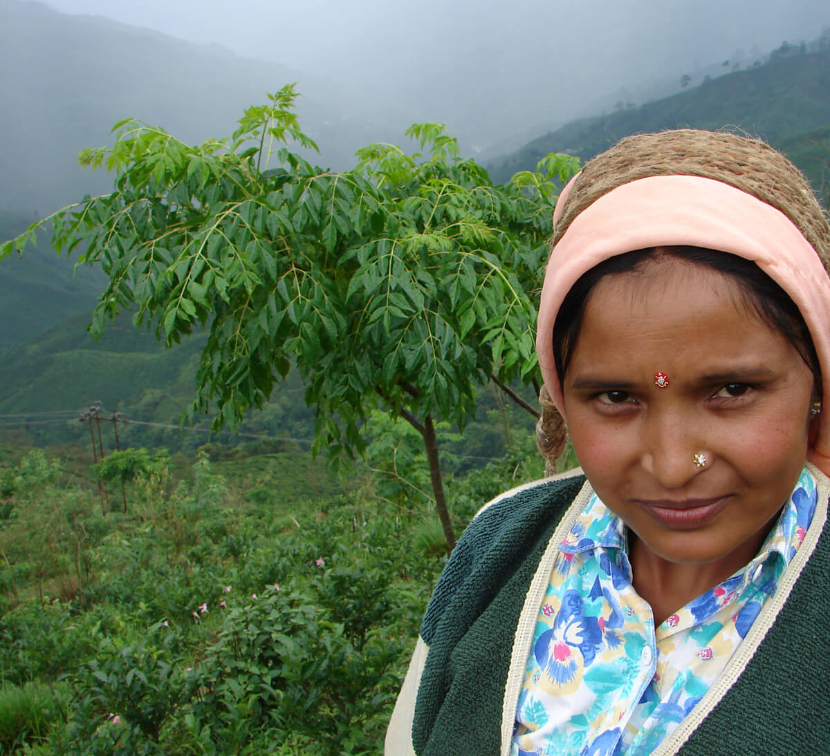 Productrice de thé en Inde