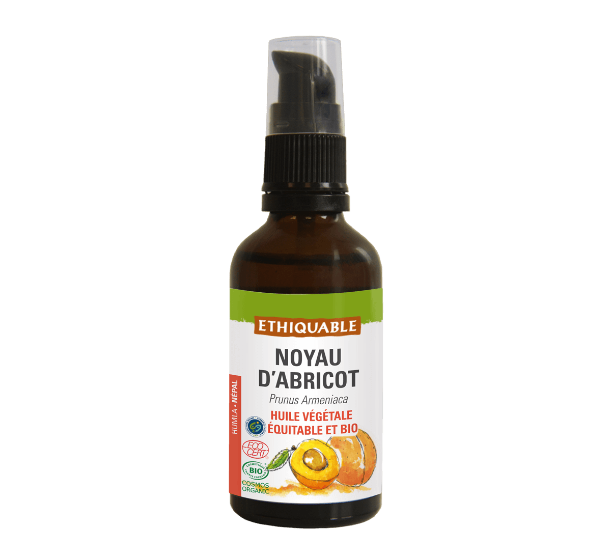 Huile végétale bio Noyau d'Abricot du Népal issue du Commerce équitable - Ethiquable