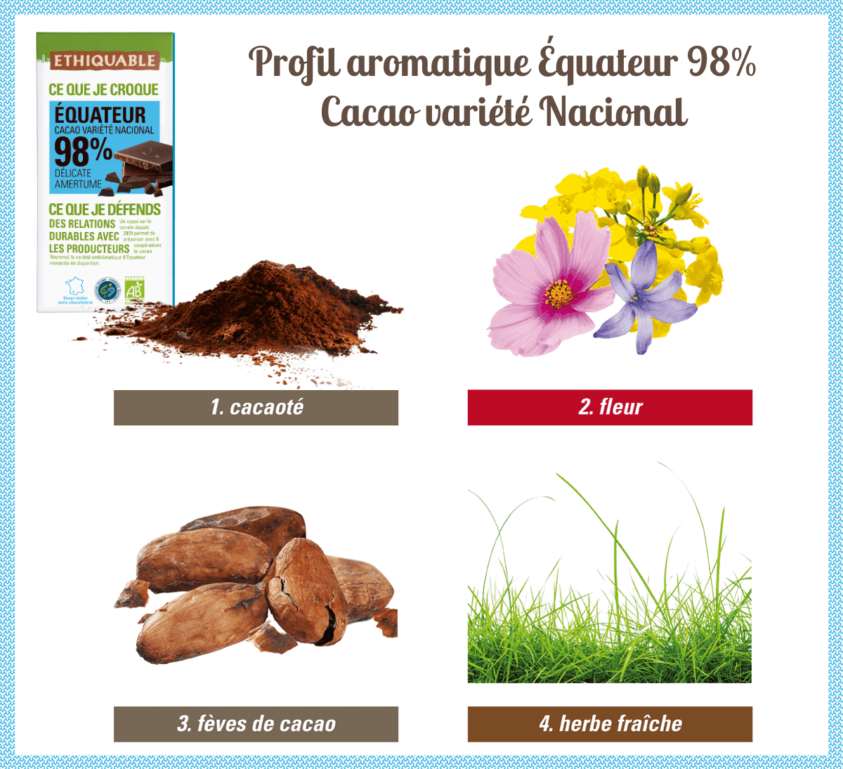 Profil aromatique chocolat noir bio 98% de cacao Équateur - Ethiquable
