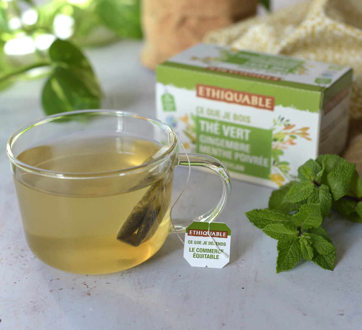 Tasse de thé vert bio de Ceylan gingembre menthe poivrée issu du Commerce Equitable, en sachets