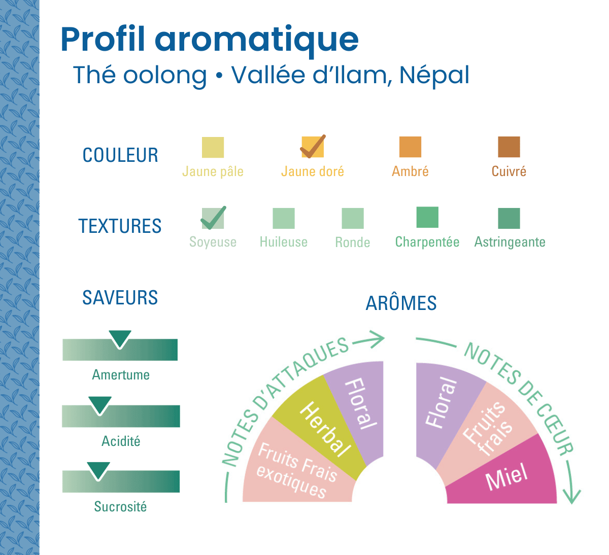 Profil aromatique du thé bleu Oolong en vrac bio et issu du Commerce équitable de la vallée d'Ilam au Népal