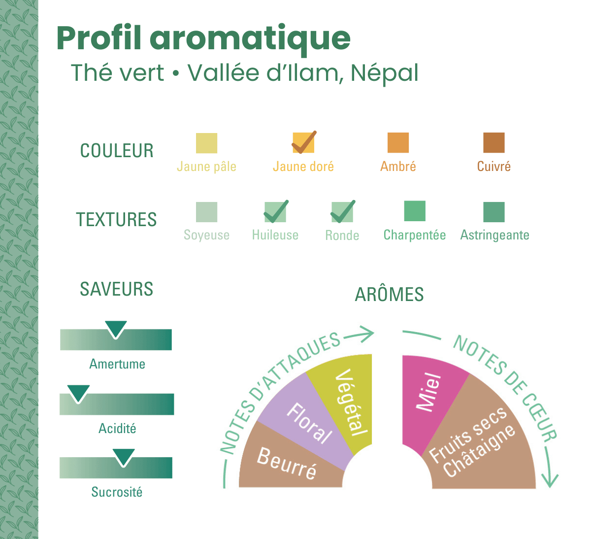 Profil aromatique du thé vert en vrac bio et issu du Commerce équitable de la vallée d'Ilam au Népal