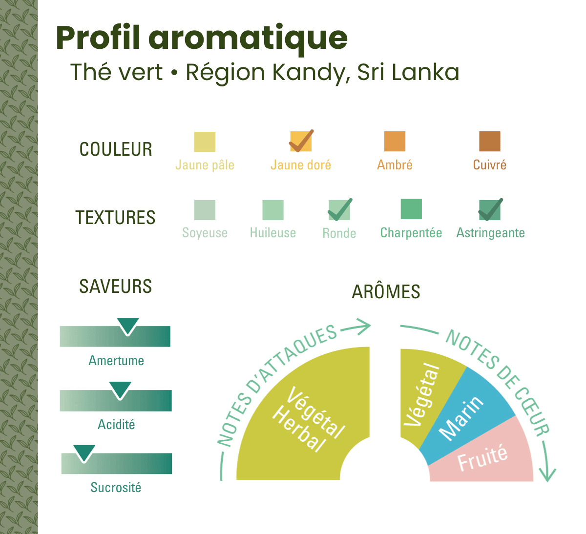 Profil aromatique du thé vert bio de Ceylan au Sri Lanka issu du commerce équitable