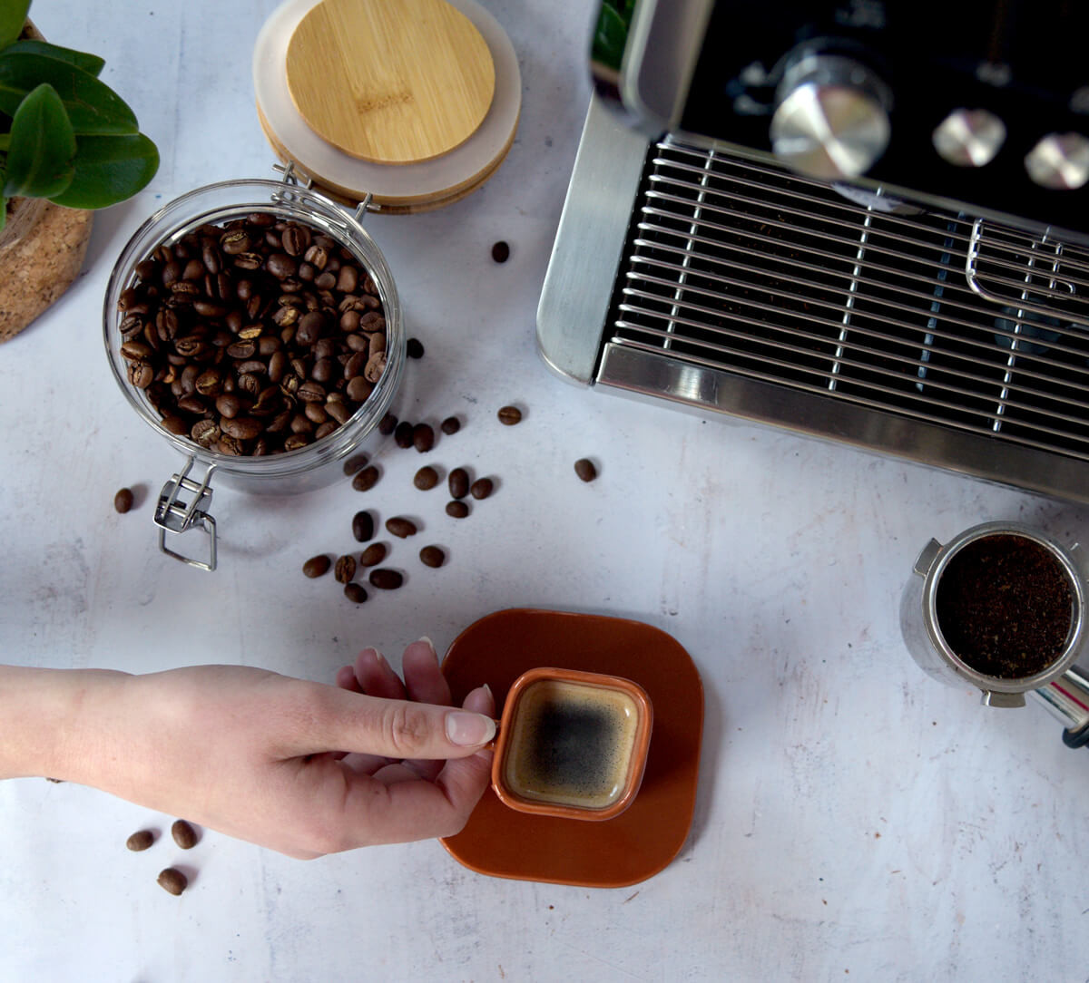 Tasse de café en grains Expresso bio et équitable - 500g