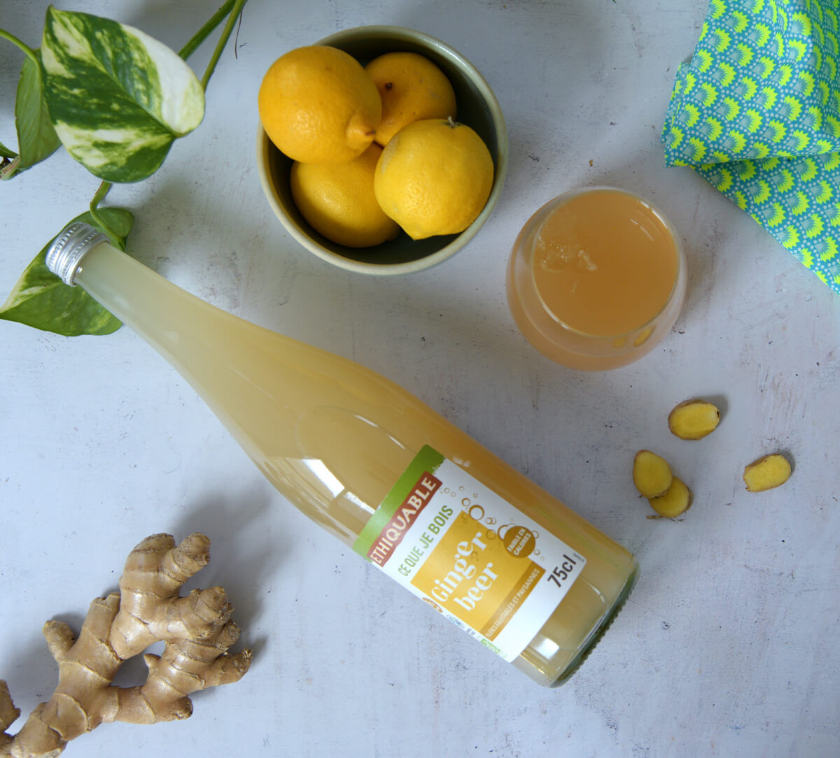 Bouteille jus pétillant sans alcool Ginger Beer fines bulles bio et équitable