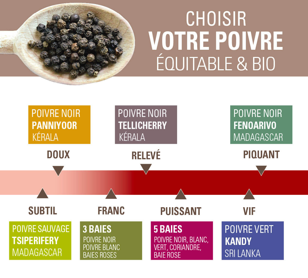 Bien choisir son poivre équitable et bio Ethiquable