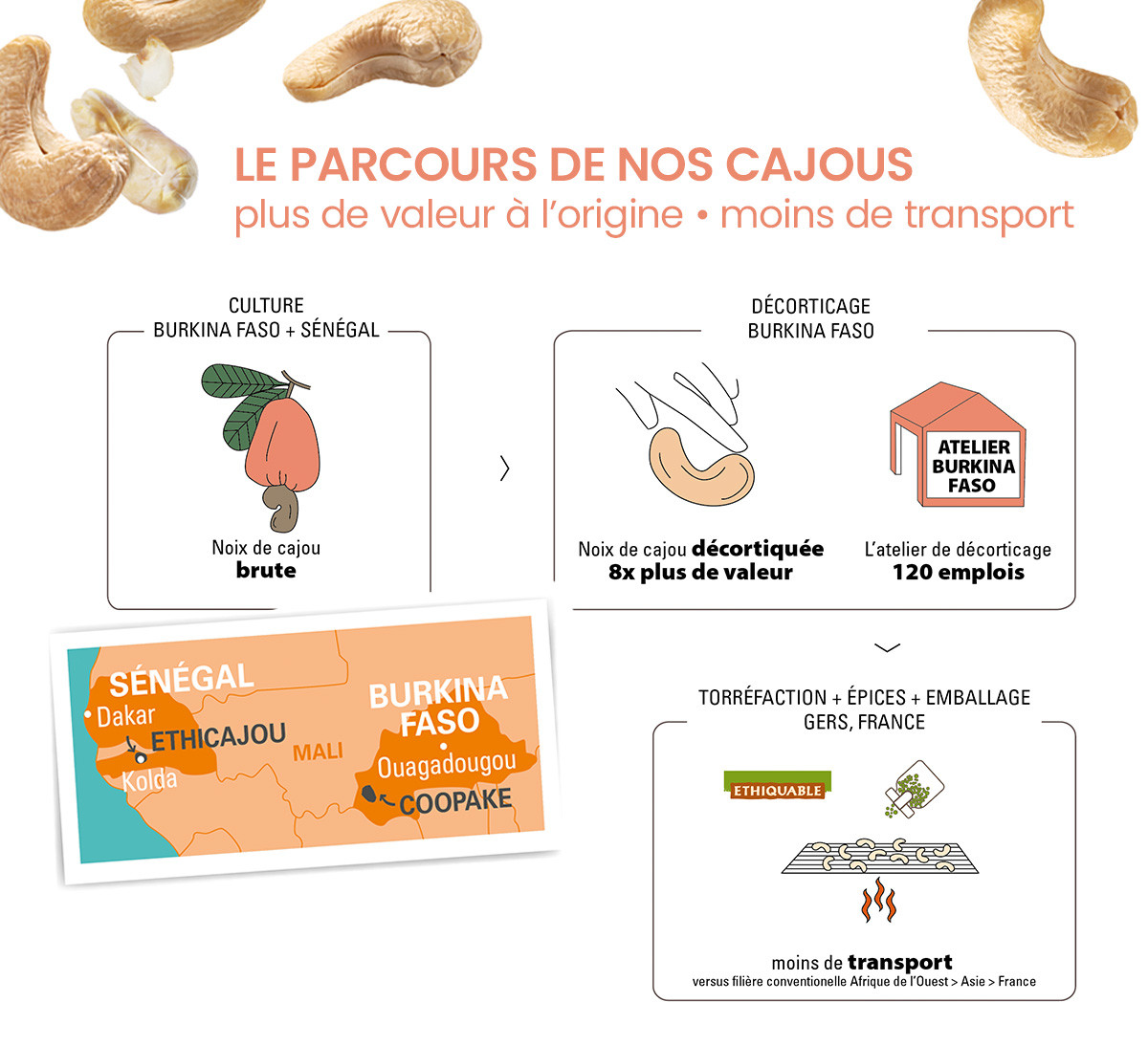 Le parcours de nos cajous équitable et bio plus de valeur à l’origine • moins de transport