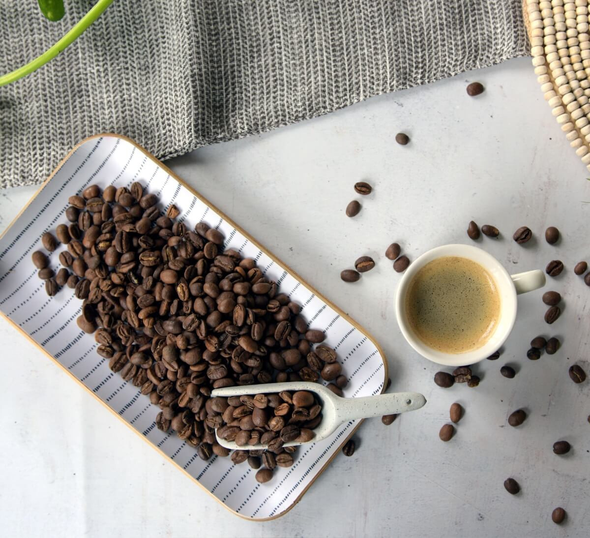 Grains d'arabica du Guatemala bio et équitable format 500 gr
