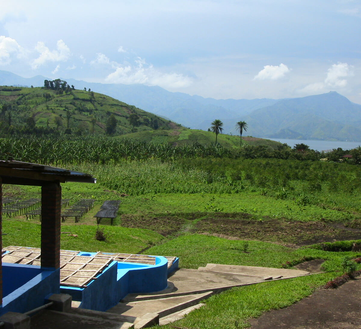 Café arábica molido Congo Kivu - Ethiquable