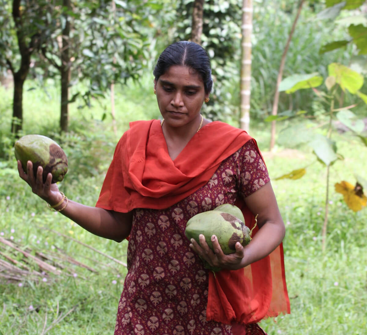 Composition MESSÉGUÉ Beurre de coco bio - UFC-Que Choisir