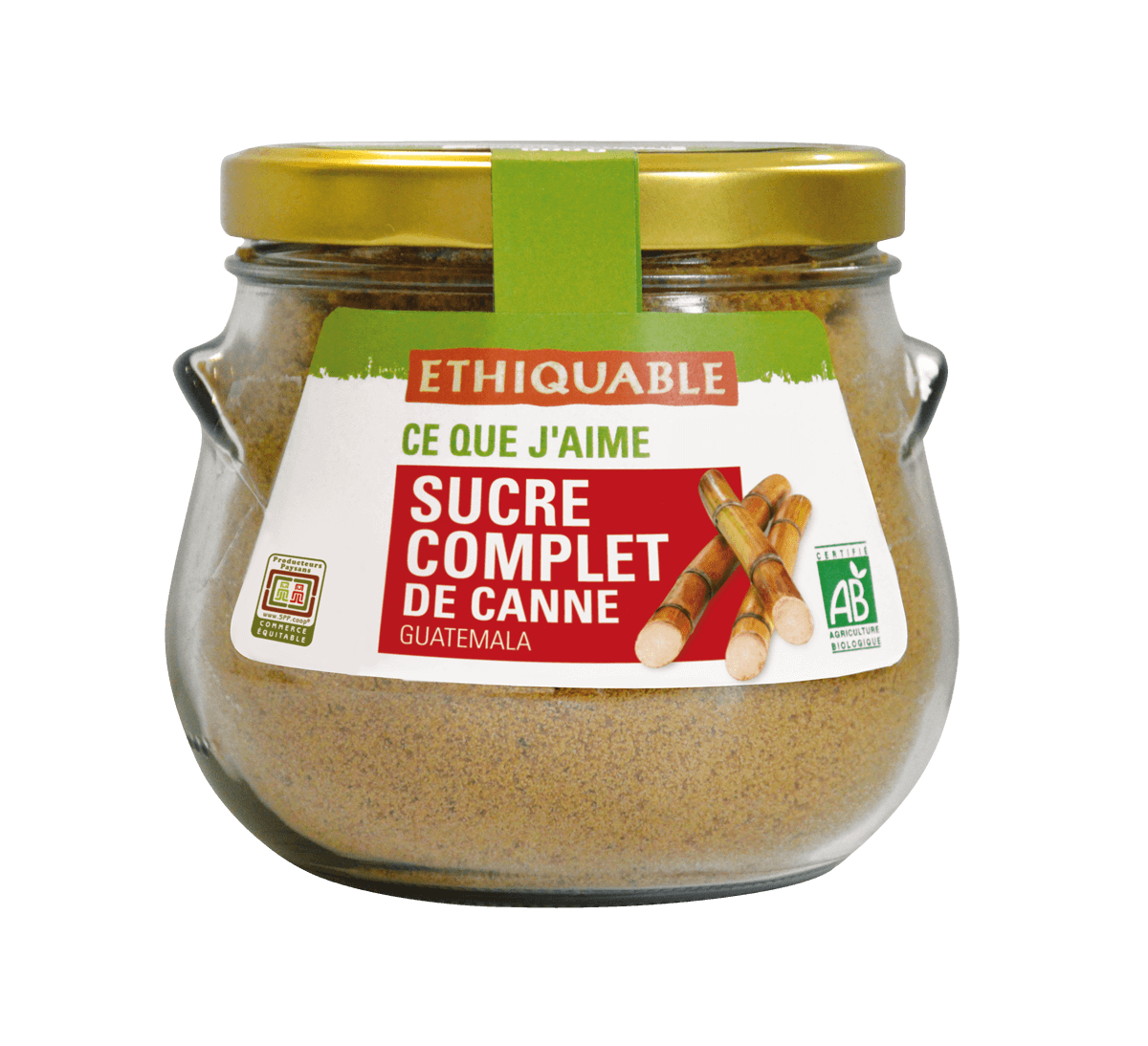 SUCRE COMPLET EN POUDRE GUATEMALA • Terra Etica Benelux