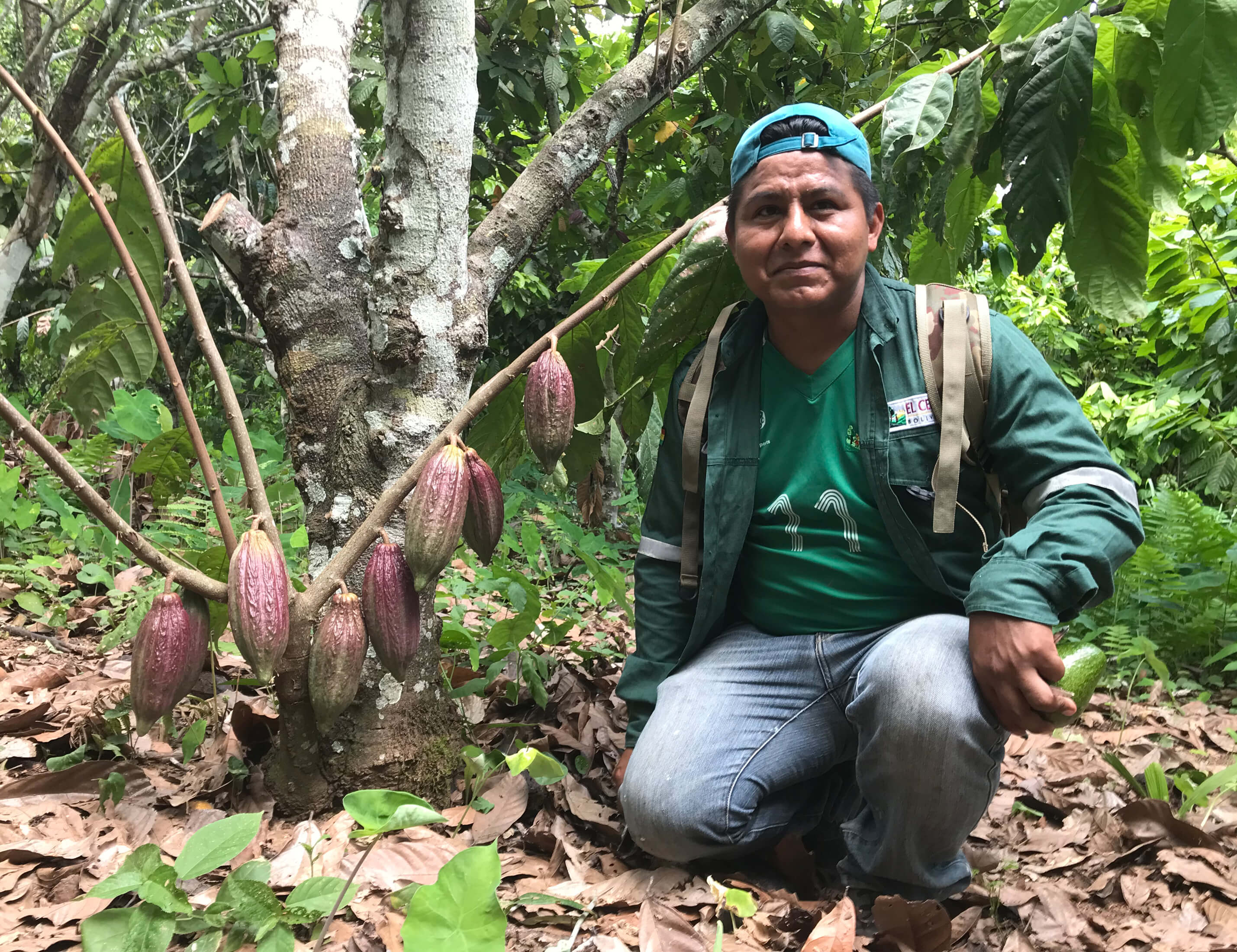 Producteur cacao coopÃ©rative El Ceibo en Bolivie - Chocolat noir 95% cacao Alto Beni