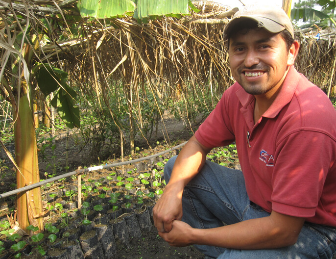 Producteur devant pÃ©piniÃ¨re coopÃ©rative COMSA au Honduras - CafÃ© Moulu en conversion 250g
