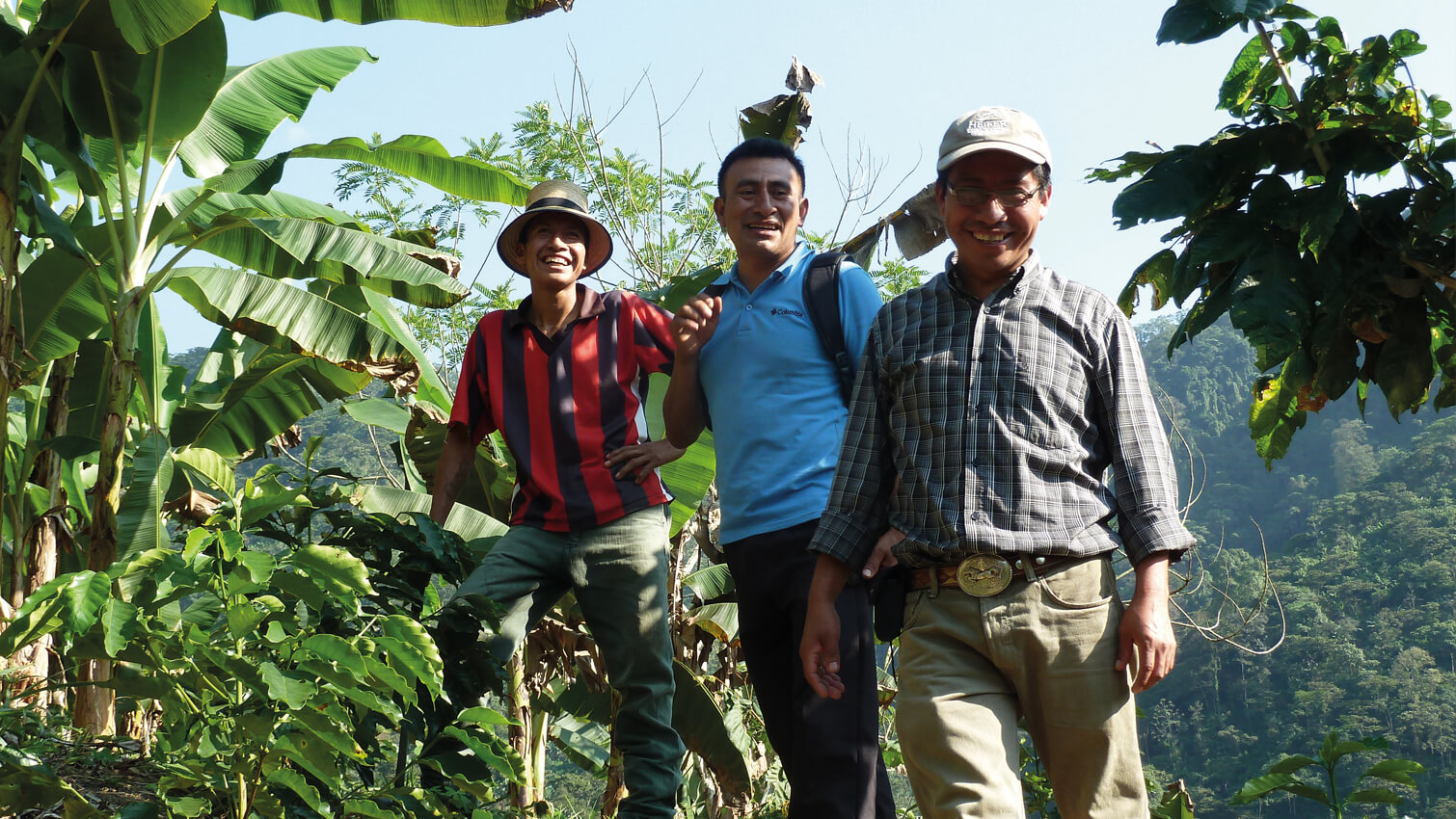 Producteurs cafÃ© cooperative ASOBAGRI au Guatemala - CafÃ© Grains en conversion 500g