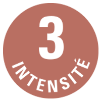 intensité 3 café ethiquable