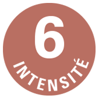 intensité 6 café ethiquable