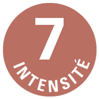 intensité 7 café ethiquable
