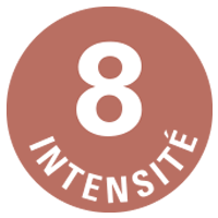 intensité 8 café ethiquable