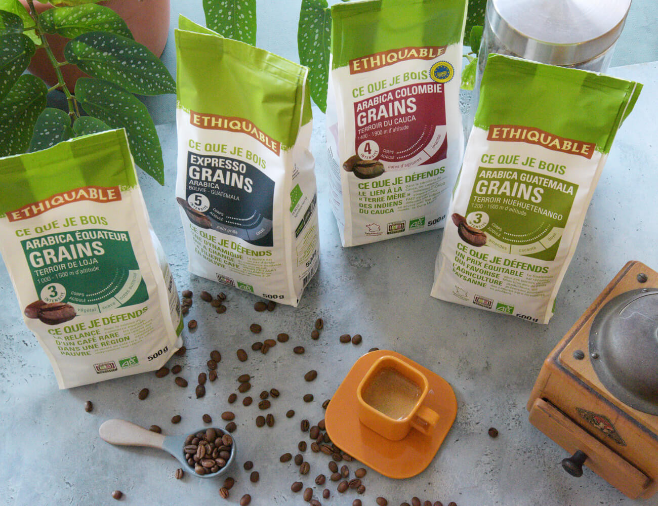 6 origines de café en grains